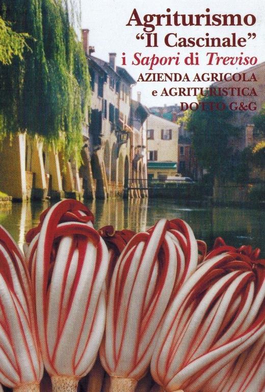 Agriturismo Il Cascinale Treviso Eksteriør bilde